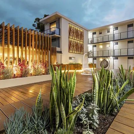 Haven Glebe-3